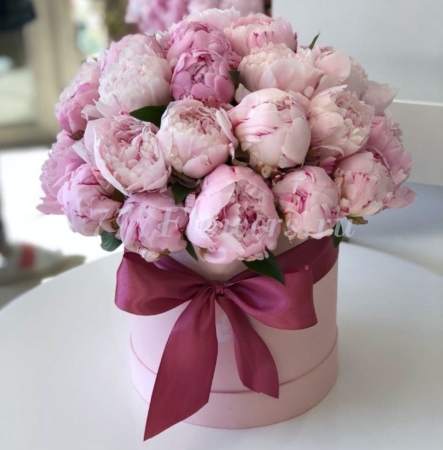 Что я вижу вокруг